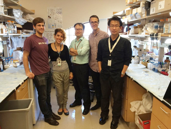 뇌세포 배양에 성공한 김두연 박사(가운데)의 연구팀, 가장 오른쪽이 최세훈 박사