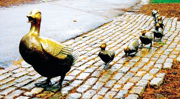 오리들한테 길을 비켜주세요(Make Way for Ducklings)—보스톤 퍼블릭 가든(Boston Public Garden)