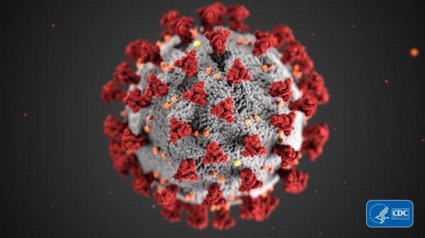 미질병통제센터가 공개한 코로나바이러스의 형태. 사진 = Alissa Eckert, MS; Dan Higgins, MAM