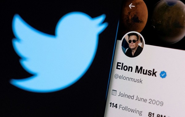 트위터 로고와 일론 머스크 테슬라 CEO의 트위터 계정