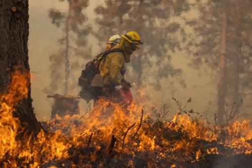 미국 캘리포니아의 오크 화재를 막기 위해 맞불을 놓고 있는 소방관들